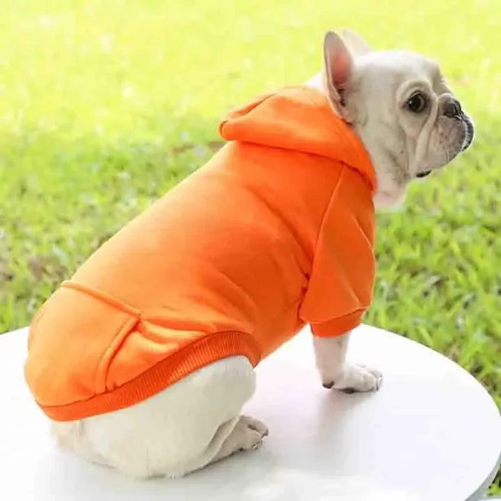 Winter Hooded Sweatshirt for Small and Medium Doggy