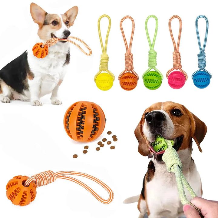 Dog Leaking Food Ball with Rope